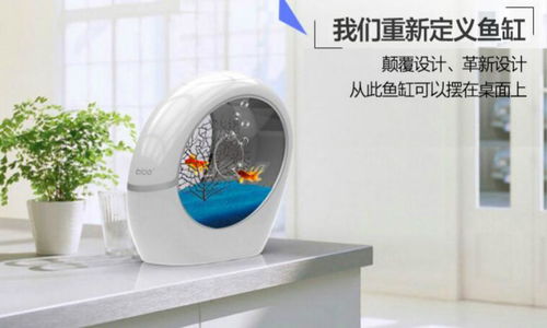 稀品匯 科技與新概念的互聯(lián)網(wǎng)營銷先鋒，引領(lǐng)布加桌寶線上銷售新潮流